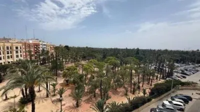 Pis – Elche/Elx, Pataes, el Baix Vinalopó - Vista 3