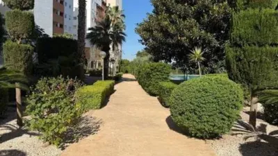 Pis – Guardamar del Segura, Urbanització Els Estanys - Vista 5