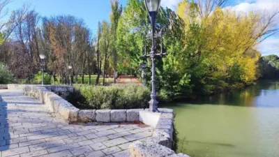 Apartment in Palencia City Centre photo 4