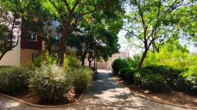 Apartment in Murcia City photo 5