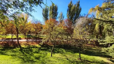 Apartment in Palencia City Centre photo 14