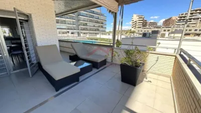 Pis – Elx - Elche - Vista 4