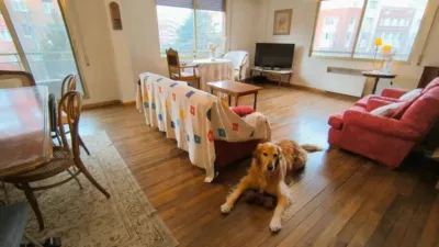 Apartment in the City Centre photo 13