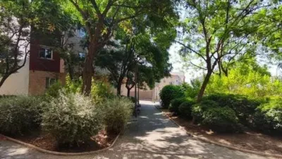 Apartment in Murcia City photo 17