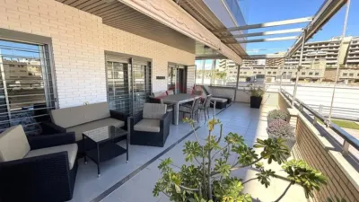 Pis – Elx - Elche - Vista 3