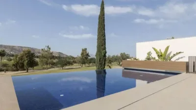 Chalet in Algorfa photo 8