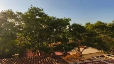 House in Algezares photo 34
