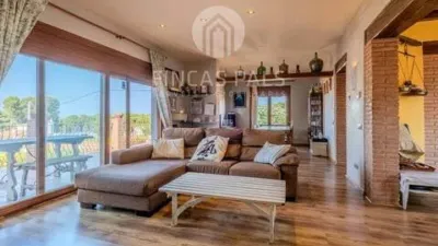 Chalet on Calle del Conill, 22 photo 6