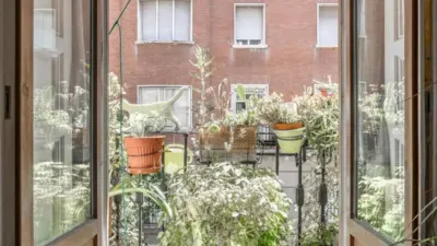 Apartment in Cortes-Huertas photo 7