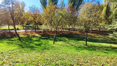 Apartment in Palencia City Centre photo 13