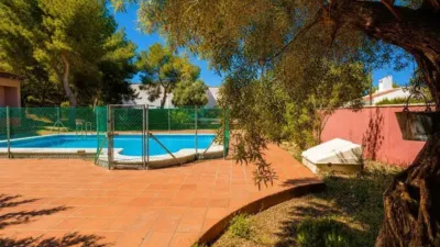 Casa – San Miguel de Salinas, Urbanización Ciudad de las Telecomunicaciones - Vista 3