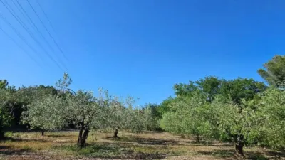 Rustic house in Valls photo 38