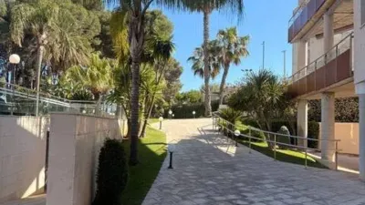 House on Avinguda del Sol photo 34