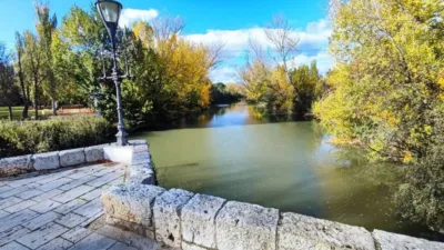 Apartment in Palencia City Centre photo 6