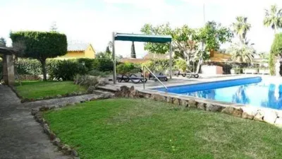 Chalet in Marina Manresa-Mal Pas-Bonaire photo 4