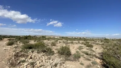 Terreno en venta en L'Altet-Els Bassars - Más