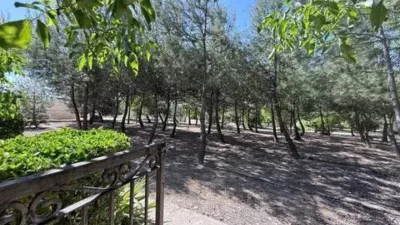 Chalet in Caravaca de la Cruz photo 16
