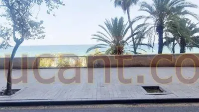 Pis - Vista 3