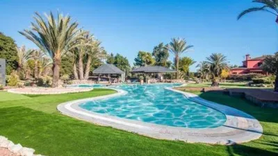 Casa – Elx / Elche, la Portalada, Urbanització Les Atzavares - Vista 2