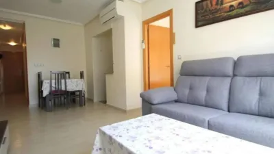 Pis – Torrevieja, Europa - Vista 4