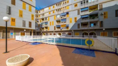 Apartment in Acequión-Los Naúfragos photo 21