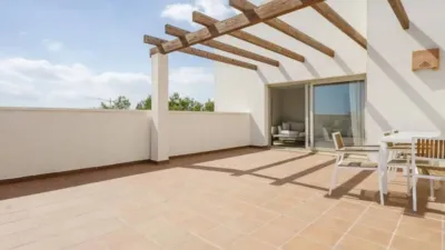 Pis – Orihuela - Vista 5