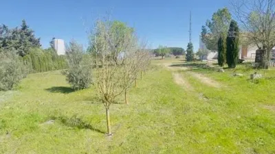 Casa – Villarrobledo, Albacete - Vista 3