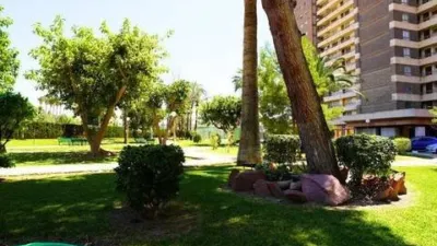 Apartment on Avenida de la Costa Blanca photo 15