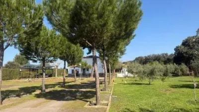 Miniatura 9