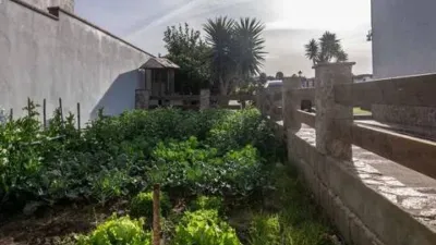 Rustic House in Barbate photo 60