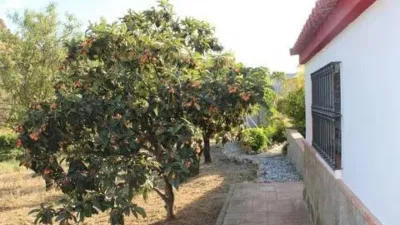 Chalet en El Gastor photo 16