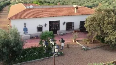 Miniatura 7