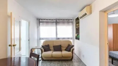 Apartment in Murcia City photo 30