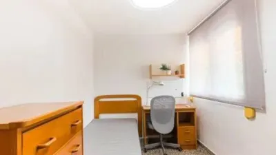Apartment in Murcia City photo 19