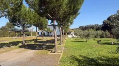 Miniatura 10