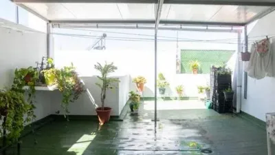 Apartment in Barbate photo 4