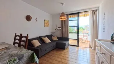 Apartment on Avenida Santiago Puig photo 11