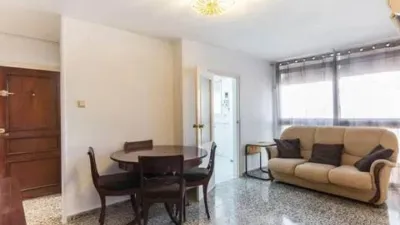 Apartment in Murcia City photo 3