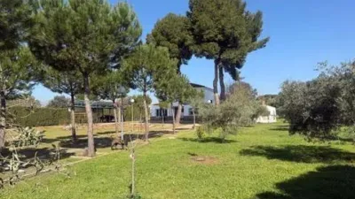 Miniatura 7