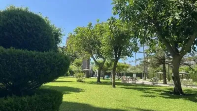 Apartment in Playa de San Juan photo 31