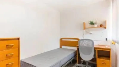 Apartment in Murcia City photo 20