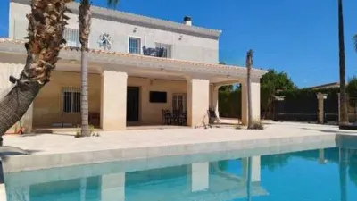 Casa – Elx - Elche - Vista 2