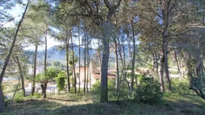 Terreno en venta en Alcalalí - Vista 5