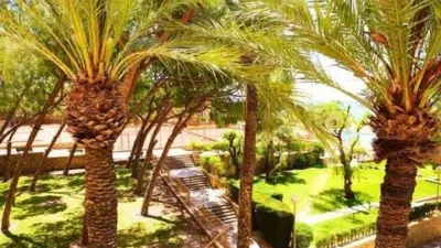 Apartment on Avenida de la Costa Blanca photo 22