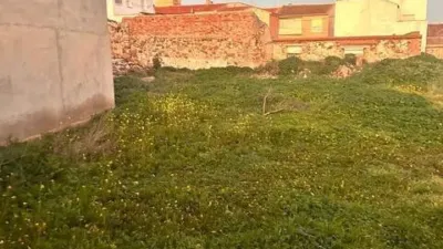 Miniatura 10