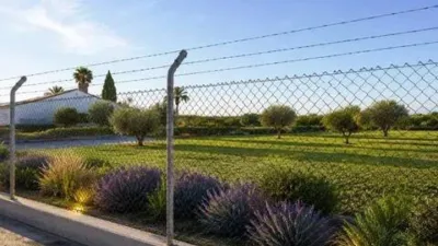 Casa – Elx / Elche, el Baix Vinalopó - Más