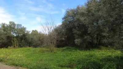 Terreno en venta en Orba - Vista 4