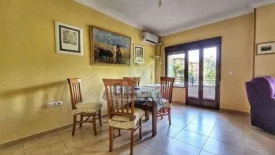 Apartment in Cáceres Capital photo 9