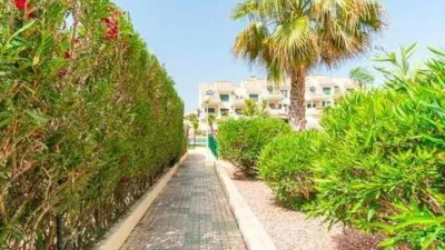 Penthouse on Calle Q-1 Las Mojadas, 6 photo 18