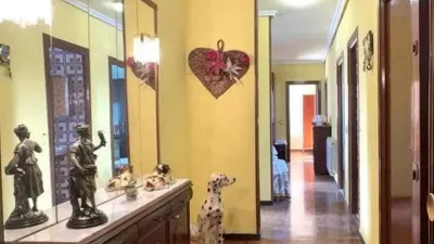 Apartment in Sansomendi photo 2